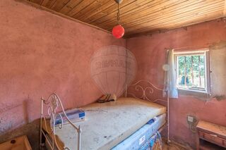 -2123351024393_318baad3-bfea-470d-8333-26a8a3051d69.jpg