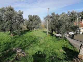 -2123351104082_8125de7a-5449-4561-8a20-de5d9aeeb37b.jpg