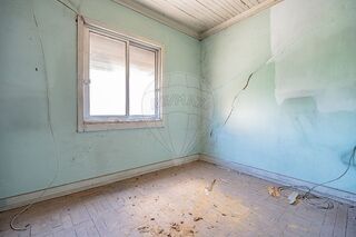 -2123351104169_7e07526b-0933-43a3-a9ed-ab79a0debc0b.jpg