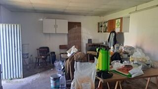 -2123411108040_61558feb-1b82-4ab8-8a5a-c062a3c06dd3.jpg