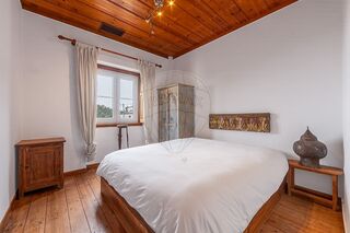 -2123441017209_ea326156-cfea-4ac4-b20a-863c34d64e21.jpg