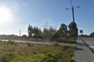 -2123441317111_947e5340-ab14-48cf-b091-974ccecbcfae.jpg