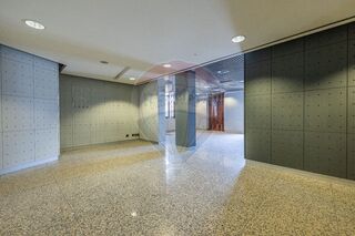 -2123531003597_2b6e096d-78bf-46d3-9037-2acb36fb63a7.jpg