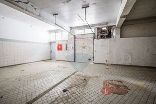 -2123531003692_33487b19-a0b2-4c97-be71-95ef478944a9.jpg