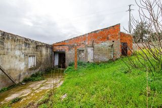 -2123531827031_01165081-dd78-40ee-a22d-33050d4182c0.jpg