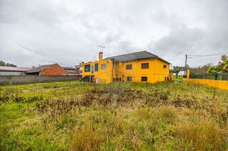 -2123531951031_660b5b38-00cf-4652-8aa6-8b3227d0cea7.jpg