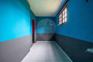 -2123531951031_b03ccc00-76c4-4816-8b60-2fe7a39a6836.jpg