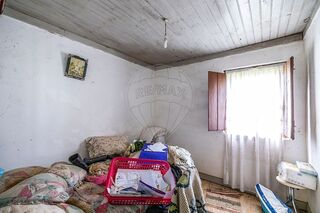 -2123531951039_87945703-3775-4e36-a6a9-8884dff5dfdd.jpg