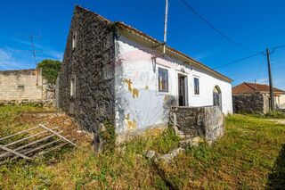 -2123532006013_c3aaee0c-4fa6-48a2-a594-f7fcc8eff9b0.jpg
