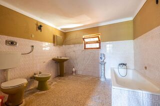 -2123532009024_dd1bad24-fbd6-4bed-a7a1-15f4abd35e99.jpg