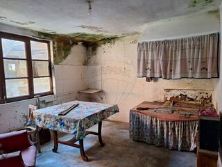 -2123532010007_96b89911-0fff-45cf-8a6b-7857c364ee97.jpg