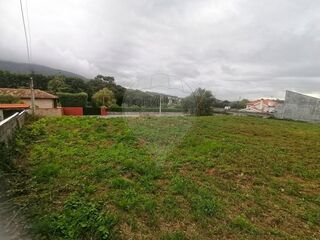 -2123571280031_dc52a868-b216-4d39-bfb7-95c448c5f5fd.jpg