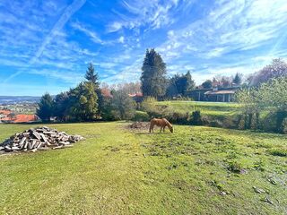 -2123571280081_a1e88880-6ab6-473b-ac23-fc22f487a4f3.jpg
