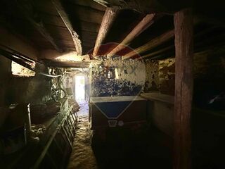 -2123601013208_5138b718-21a7-44a7-9d5b-0c467cfe4e41.jpg