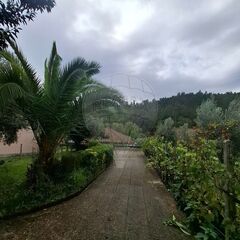 -2123601016348_15dd28cb-c36b-4040-929e-f7fc5426e0ba.jpg