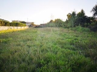 -2123601040048_2bb352bd-e80d-4b7e-b88f-ad270faa9415.jpg