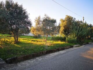 -2123601040048_e957b042-2390-4248-b092-cf21537e909d.jpg