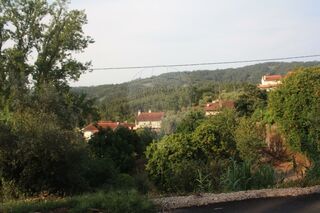 -2123601139023_0f0d0463-d10c-4598-8412-472c5cf68ef4.jpg