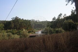 -2123601139023_73555641-0b80-4375-a191-4c7215784fea.jpg