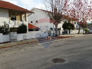 -2123601154019_6c0bb652-1741-4d58-8ac5-a12cddc9c2cc.jpg