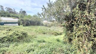 -2123601154056_023fadf9-cf67-4a03-b448-de6143c064f5.jpg
