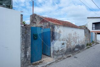 -2123601181011_32a7f41a-d1b3-46d2-9ec6-51ea76821d17.jpg