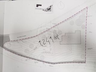 -2123601184015_39249a07-170a-4ca1-8e7d-e02187c9ef7f.jpg