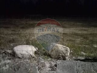 -2123711011299_3db09304-3c28-4077-83ae-e14bb53a7e2c.jpg