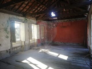 -2123711011317_13121f5d-7ea5-459d-afa2-a3101c1d5285.jpg