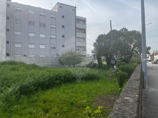 -2123711137027_2ba5bfaa-3fcf-4858-99d3-71c2e1cb88c4.jpg