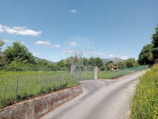 -2123721074109_300a61a3-6ac7-41b7-aaf1-86e7fcb2783a.jpg