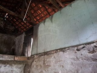-2123721084002_3c81c6c1-4ae5-4305-8a4e-55566cdc77bb.jpg