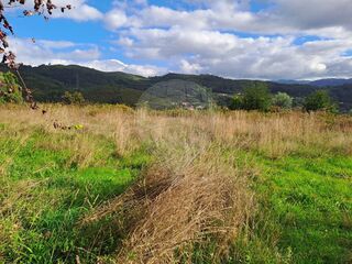 -2123721084016_1ae0d6a6-99e1-48cd-b617-f7ec5f2cac38.jpg