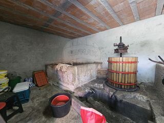 -2123721094003_24cd82fc-c3b5-468d-8474-c74b67663a7d.jpg