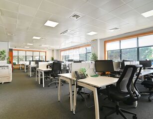 -2123761346006_e0b325e0-899a-4eb1-8f29-2534ccc652f4.jpg