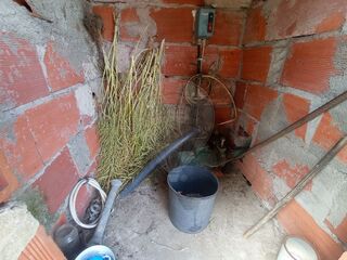 -2123831107039_98b87dbf-0578-4958-8ac0-a97e7c392c41.jpg