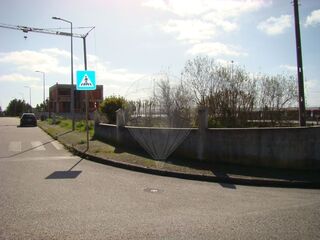 -2123831113026_8edfe91a-210e-4eff-b434-7485319bae62.jpg