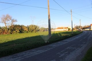 -2123831150013_3811efd8-012b-4d32-9376-96bb08ff8338.jpg