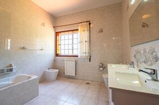 -2123871083070_2bcd1aae-ced5-441c-ac90-64e2ffd53588.jpg
