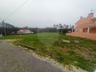 -2123931101074_dbfdca36-7412-4f01-bee1-73604874247d.jpg