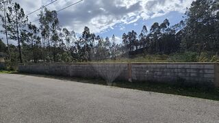 -2123931101182_54af30ae-2d49-4f7a-be6b-b2c0f2bbe1cc.jpg