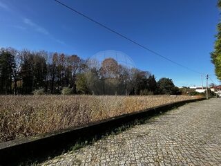 -2123931103402_569d1b7e-5293-44b1-b7db-3bec94cbbcb2.jpg