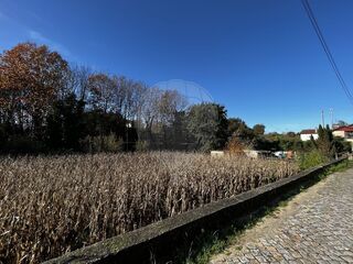 -2123931103402_64379a15-8517-4b5f-a2d9-023a4baaf409.jpg