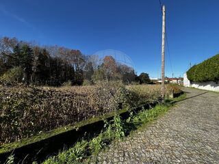 -2123931103402_a614cf6a-084b-4339-aa23-d3c2ab6793f0.jpg
