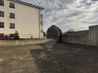 -2123931103492_cc7c5e1c-9d1d-4fb6-929d-5d338d1ea077.jpg