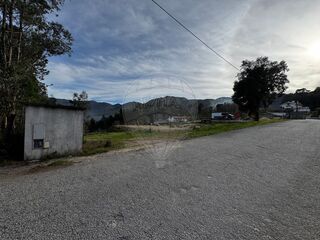 -2123931103496_a40dbf57-73bc-4253-945c-5b7ccab2fce5.jpg