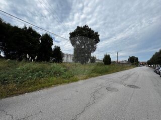 -2123931103499_2c025508-ebfe-4665-8a49-2253bf0ae95f.jpg