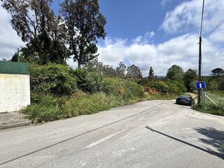 -2123931103508_02c0f585-7ec1-4eb5-9aa0-f969538133d4.jpg