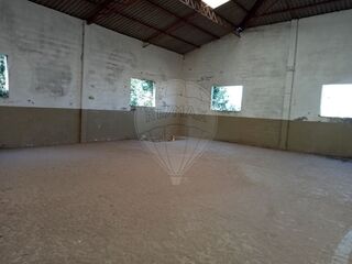 -2123931104072_ef6dd2de-1a89-418c-909d-79ac22fea0d3.jpg