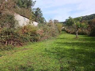 -2123931184014_97093a8a-07f3-4963-ab45-ce609fcf08a6.jpg